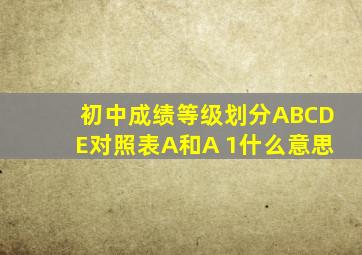 初中成绩等级划分ABCDE对照表A和A 1什么意思